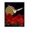 Stupell Industries Owl over Poppy Field Canvas Wall Art Design by Michelle Ingari Designs